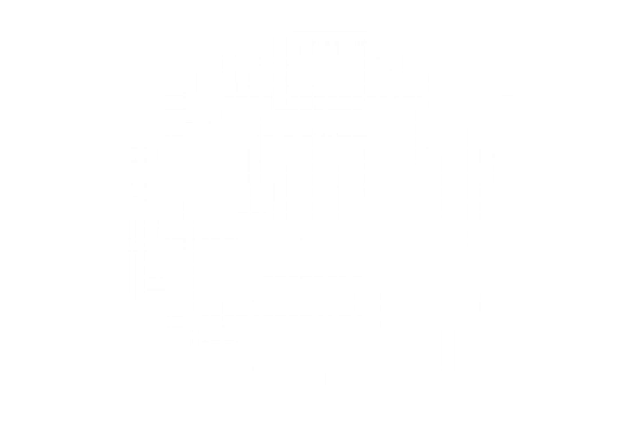Abstract digital grid of white intersecting vertical and horizontal lines forming a circular pattern on a black background.